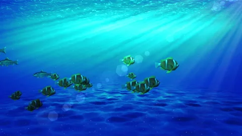 Under water ocean sea loop animation Stock Footage 148011263