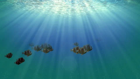 Under water ocean sea loop animation Stock Footage 148011775