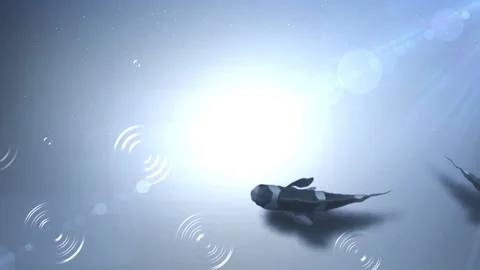 Under water ocean sea loop animation Stock Footage 148011783