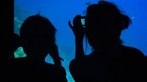 Under water people Stock Footage 98679230