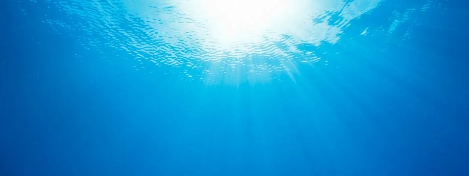 Under water Stock Photos