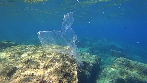 A Blue Transparent Plastic Bag Floating Stock Photo, Picture and