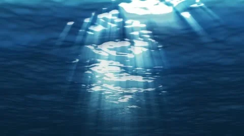 Under Water Scene Vídeos de archivo 10878457