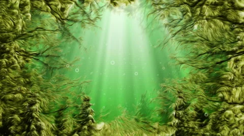 Under water seaweed background animation loop Stock Footage 44696244
