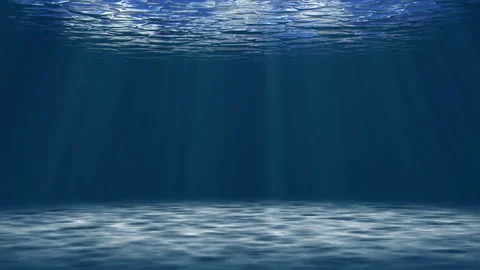 Under water with sun light in the ocean. Stock Footage 167797561