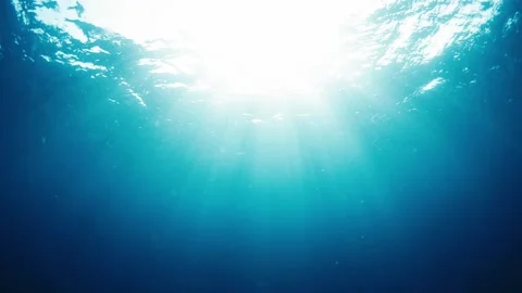UNDER WATER SUN RAY LIGHT Video stock 236356116