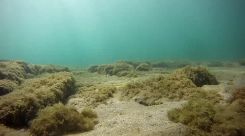 Under Water Sun Rays 1 Stock Footage 12064129