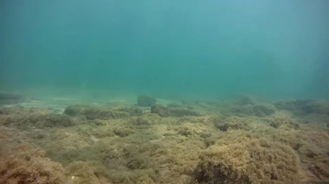 Under Water Sun Rays 2 Stock Footage 12064259