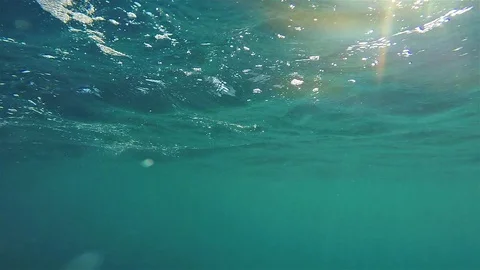 Under water with sunbeams shining through sea 動画素材 89728682
