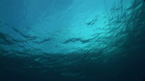 Under water surface Video stock 56793331