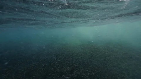 Under water view of barelling ocean wave with vast of foam and bubbles. Stock Footage 114673024
