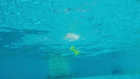 Under water view of dog jumping in for a toy in a pool Stock Footage 90914214