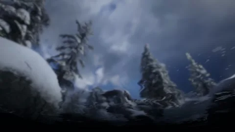 Under water view winter snow forest trees Stock Footage 267319445