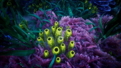 Under Water World 1 Stock Footage 86862388