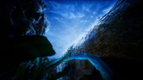 Under Water World 2 Stock Footage 86861293