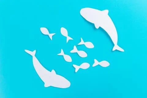 Under the waves circle two great white sharks Stock Photos