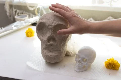 Under window daylight, a hand smooths a large gray clay skull while a small w Stock Photos