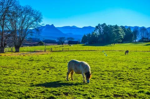 Underberg landscape under blue sky in Southern Drakensberg South Africa Stock Photos
