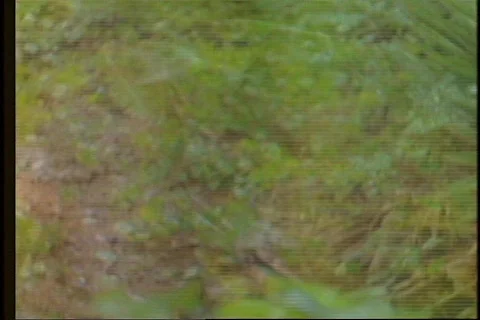 Undercranked 16mm Montage of Military Soldiers Training Running Firing Weapons Stock Footage