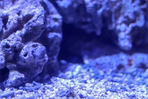 Underground cave for fish in blur. Background for text on the themes of touri Foto stock