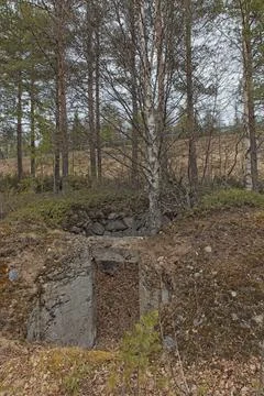 Underground cellar. Stock Photos