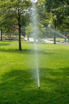 Underground centralized irrigation system watering a bright green park lawn Stock-Fotos