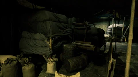 Underground concealment of stored goods beneath fragile ceiling Vídeos de archivo 342433102