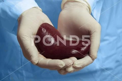 Underground kidney transplant surgery concept. illegal organ transplantation. Stock Photos