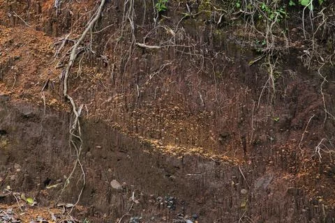 Underground layer in a cross-section of the earth, eroding the soil with pl.. Foto stock