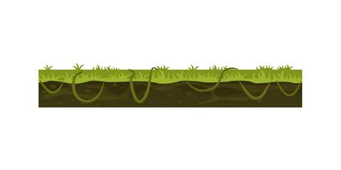 Underground layers of soil and green plants of tropical garden or jungle Stock Illustration