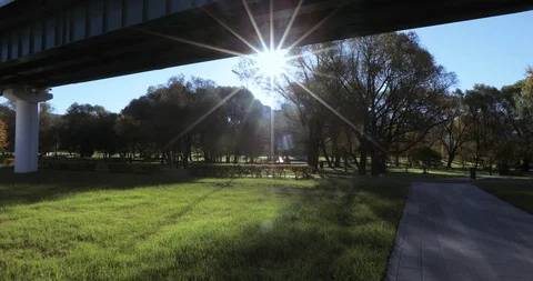 Underground metro in backlight 스톡 동영상 96323119