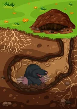 Underground mole in a tunnel Stock Illustration