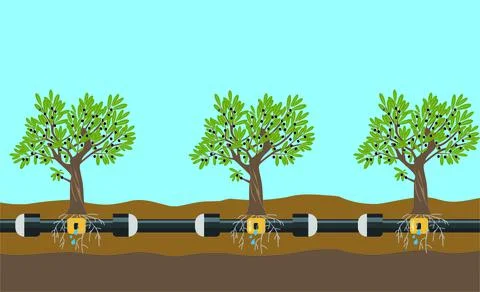 Underground or in ground drip irrigation system. Water irrigation. Automatic Stock Illustration