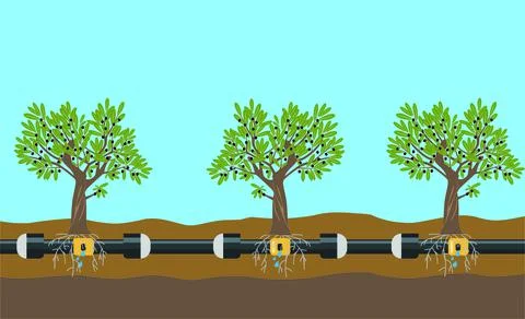 Underground or in ground drip irrigation system. Water irrigation. Automatic Stock Illustration