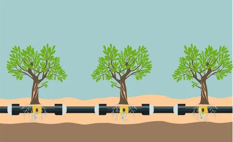 Underground or in ground drip irrigation system. Water irrigation. Automatic Stock Illustration