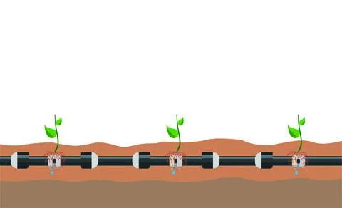 Underground or in ground drip irrigation system. Water irrigation. Automatic Stock Illustration