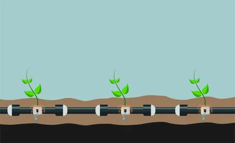 Underground or in ground drip irrigation system. Water irrigation. Automatic Stock Illustration