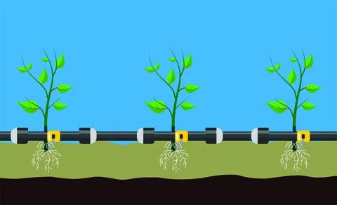 Underground or on ground drip irrigation system. Water irrigation. Automatic Stock Illustration