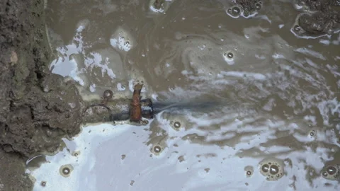 Underground pipe burst and water leaking into a dirty puddle. Stock Footage 334951273