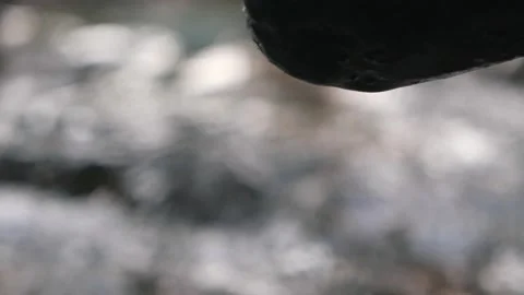 Underground pure water inside the stone in natural forest. Vídeo Stock 148620688