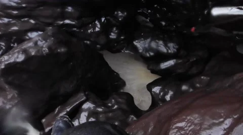 Underground river tasmania Stock Footage 50090576