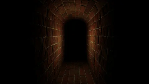 Underground secret corridor of the old castle Vídeo Stock 209328144