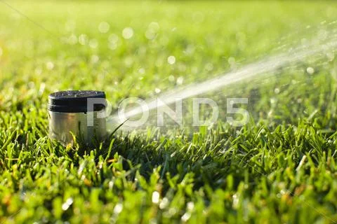 Underground sprinkler head spraying in the morning sunlight Stock Photos