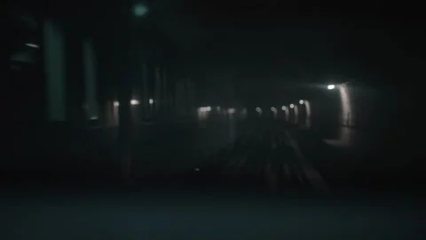 Underground train Stock Footage 315142216