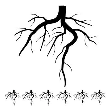 Underground tree root cartoon vector graphic Stock Illustration