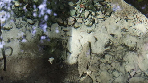 An underground water source breaks through to the surface. Stock Footage 314582579