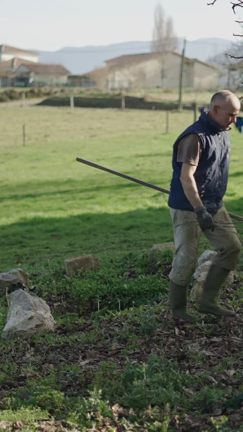 The undergrowth of a tree is picked up by a man Stock Footage 276231481