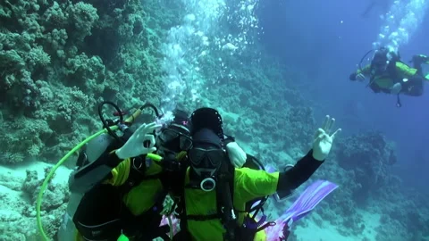 Underneath surface of clear water, of divers in gear move with effortless ease. Video stock 236808602