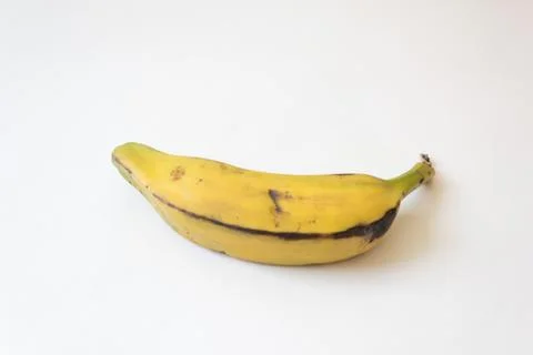 Underneath view of a fully ripe Burro banana, Orinoco, Bluggoe, Horse, Hog Stock Photos