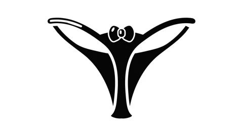 Underpants string icon animation Video stock 156240845